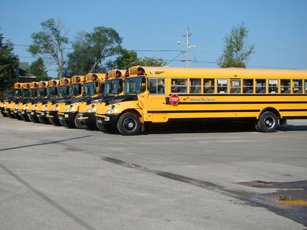 school buses